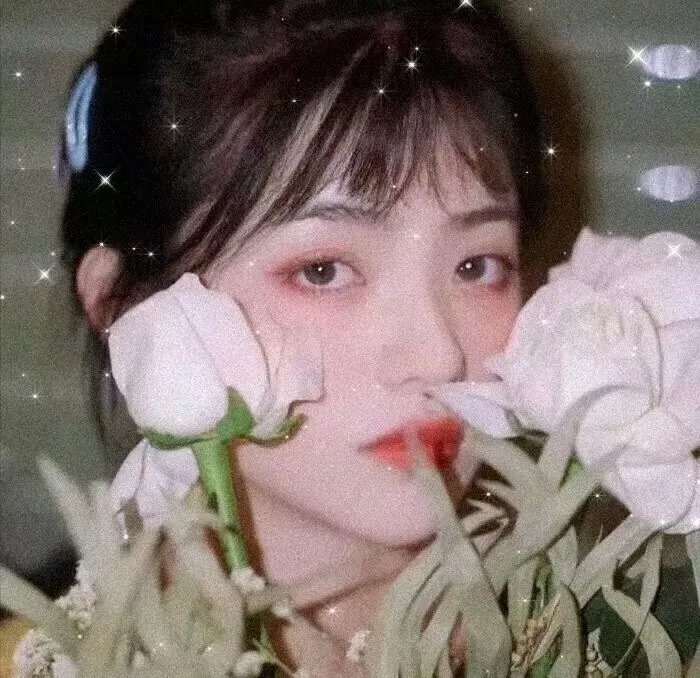 努力的生活